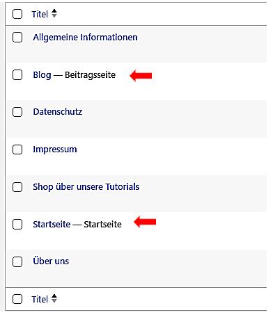 Start  und Blogseite  05 